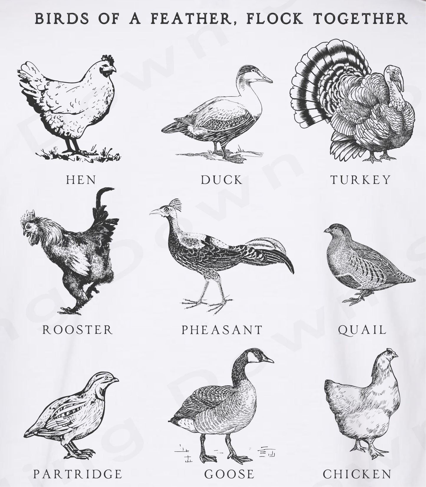 Birds of a feather, flock together